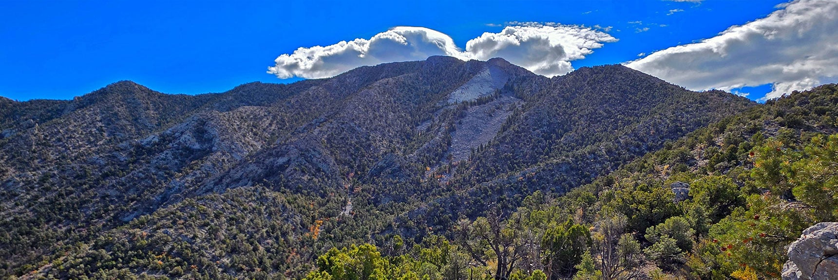 Note Devil's Slide Upper Section Limestone Slab, Lower Section Scree | La Madre Mt North Ridge | La Madre Mountains Wilderness, Nevada