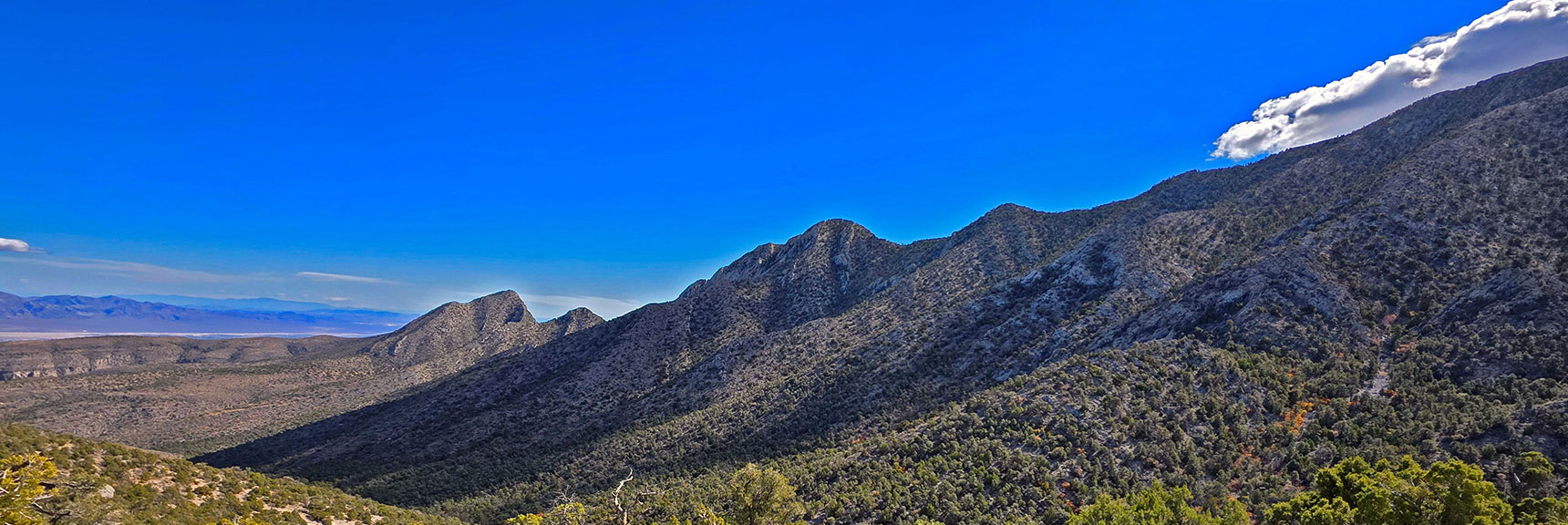 Eastern Stretch of the La Madre Ridgeline; North Vegas Valley Beyond | La Madre Mt North Ridge | La Madre Mountains Wilderness, Nevada