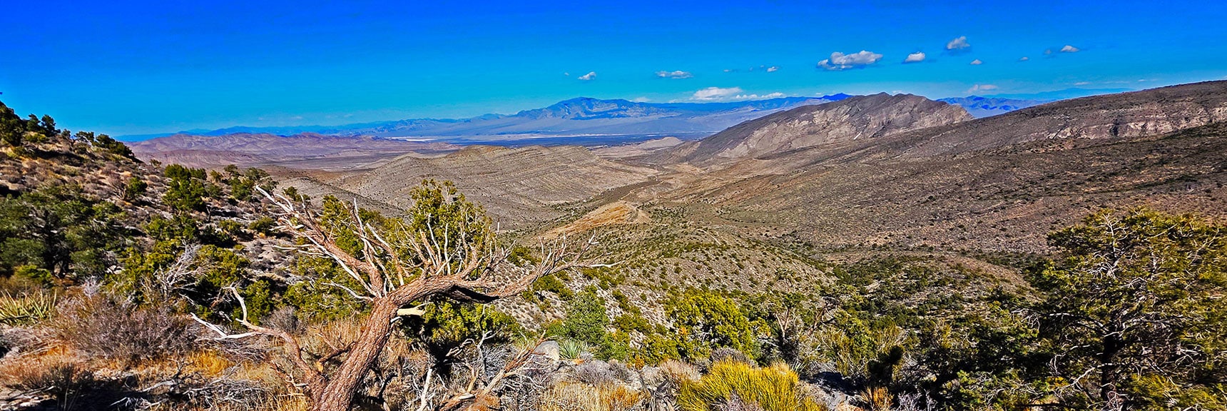 Ready to Descend into Baseline Valley. Sheep Range Distant | La Madre Mt North Ridge | La Madre Mountains Wilderness, Nevada