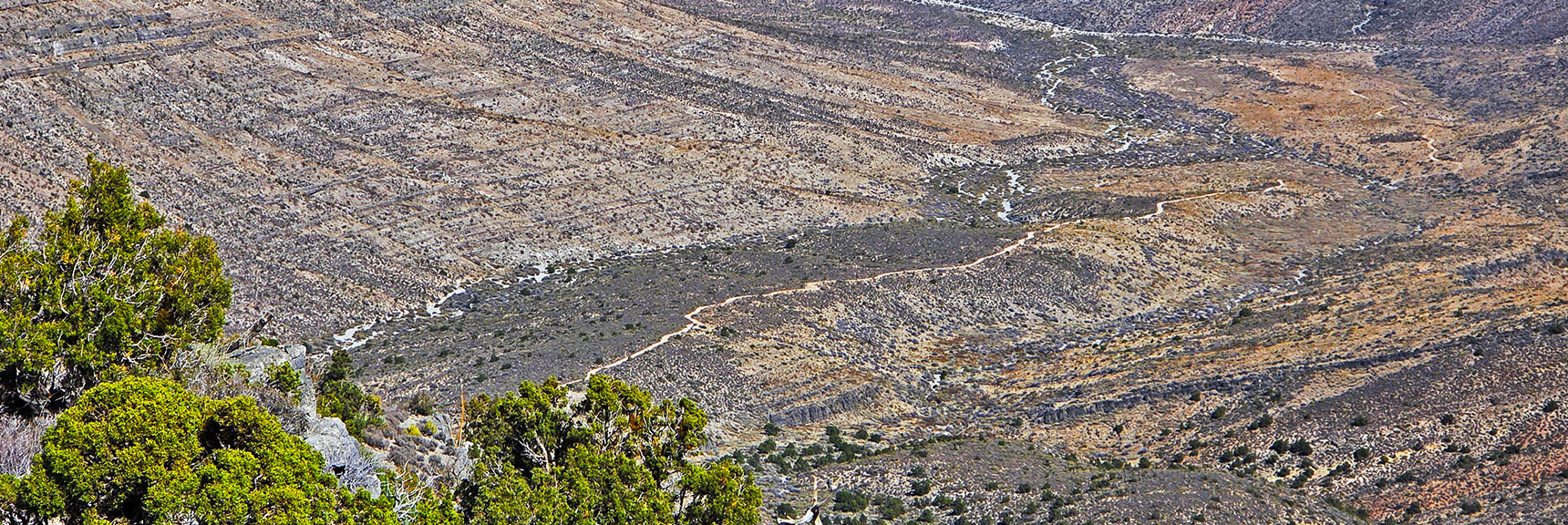 Target: Approach Road Below. Weave Down Through Limestone Ledges | La Madre Mt North Ridge | La Madre Mountains Wilderness, Nevada