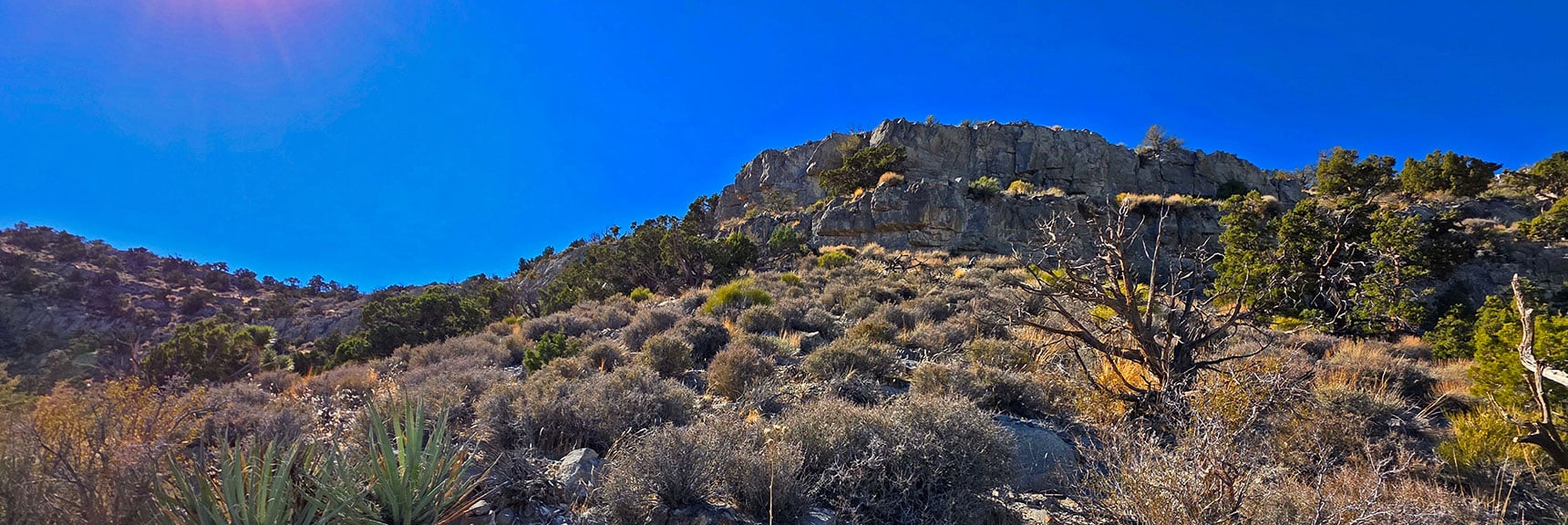 View Back Up to Limestone Ledges Just Descended | La Madre Mt North Ridge | La Madre Mountains Wilderness, Nevada