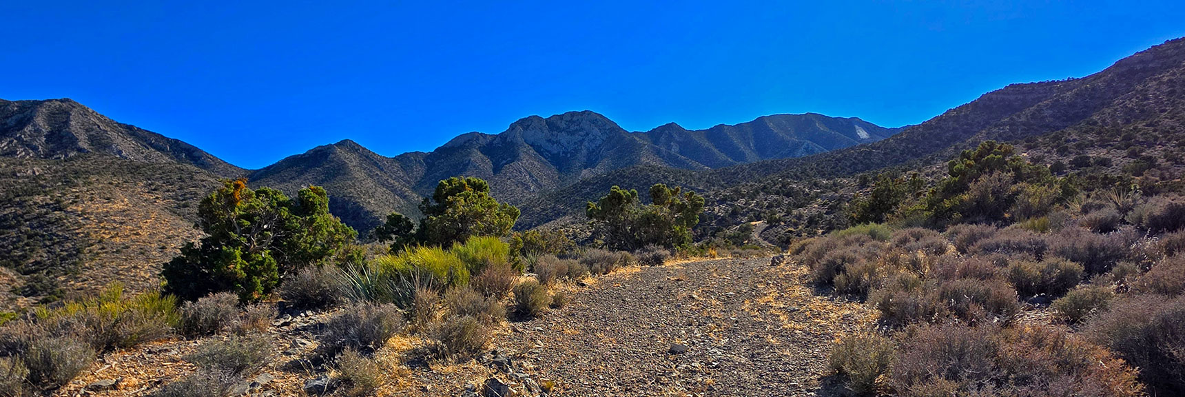 Arrival on Upper Road. Will Use This for Future Ascent to Devil's Slide! | La Madre Mt North Ridge | La Madre Mountains Wilderness, Nevada