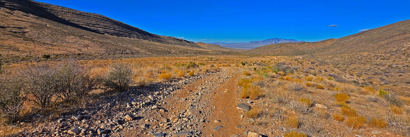 View Down Lower Baseline Road. Upper Road Closed to Vehicles. | La Madre Mt North Ridge | La Madre Mountains Wilderness, Nevada
