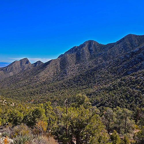 La Madre Mt North Ridge | La Madre Mountains Wilderness, Nevada