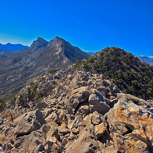 East La Madre Peak | La Madre Mountains Wilderness, Nevada