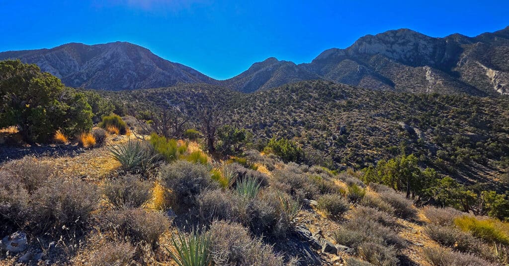 La Madre Ridgeline East Saddle | La Madre Mountains Wilderness, Nevada