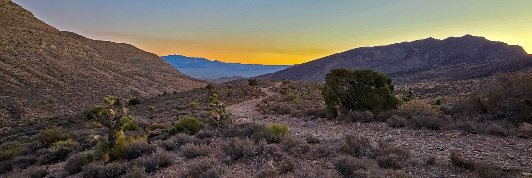 Sunrise View Down Approach Road to Peak 6080 (right) & Sheep Range | La Madre East Ridge Approaches | La Madre Mountains Wilderness, Nevada