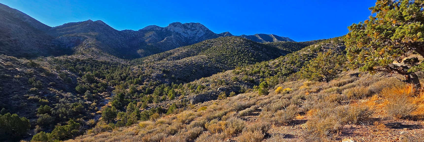 Note How Lower Washes Angle Around Toward Devil's Slide | La Madre East Ridge Approaches | La Madre Mountains Wilderness, Nevada