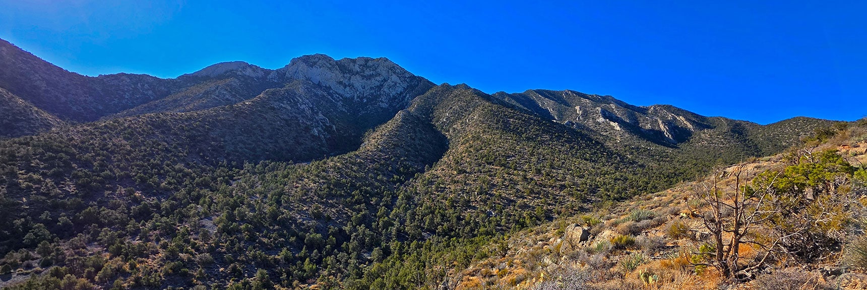 Note Approach Slopes to Rocky Fernande Peak (left) | La Madre East Ridge Approaches | La Madre Mountains Wilderness, Nevada