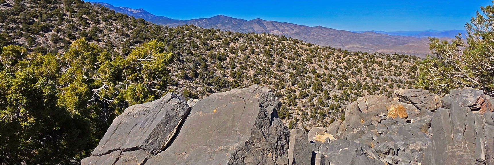 Mt. Charleston Wilderness Forms Background to Limestone Ledges | La Madre East Ridge Approaches | La Madre Mountains Wilderness, Nevada