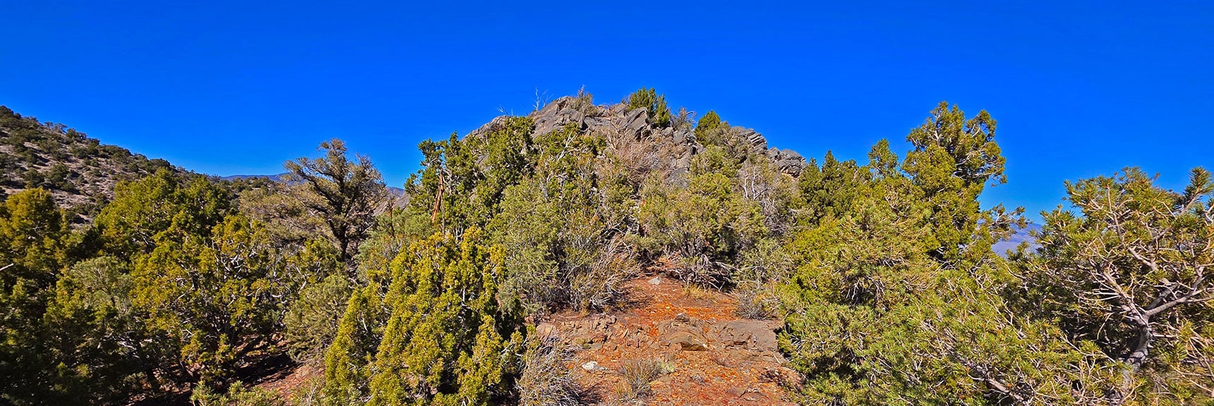 Now On Lower Devil's Ladder Saddle Viewing Last Limestone Scramble | La Madre East Ridge Approaches | La Madre Mountains Wilderness, Nevada