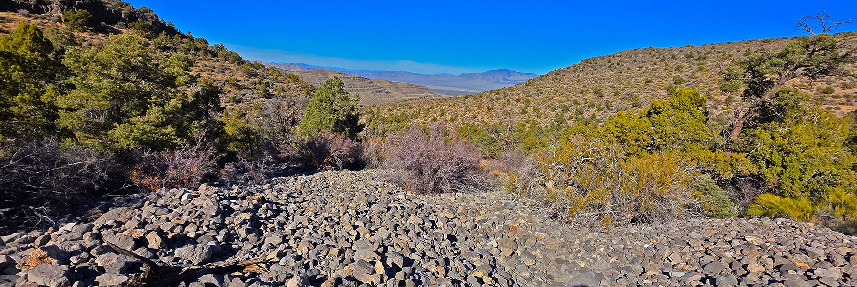 Peak 6826 Lower Approach Slope Ahead Will Be Today's Return Route | La Madre East Ridge Approaches | La Madre Mountains Wilderness, Nevada