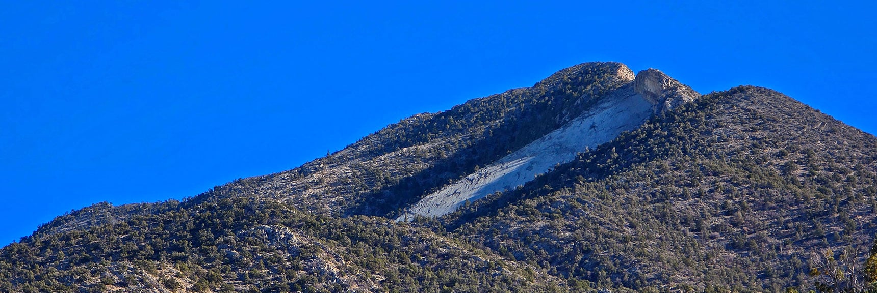 Explore the North Side of the Spectacular La Madre Ridgeline! | North Ridge Loop | La Madre Mountains Wilderness, Nevada