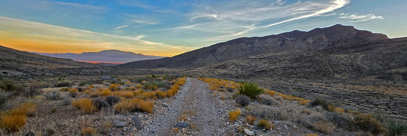 View Back Down Approach Road Toward Distant Sheep Range Sunrise | North Ridge Loop | La Madre Mountains Wilderness, Nevada