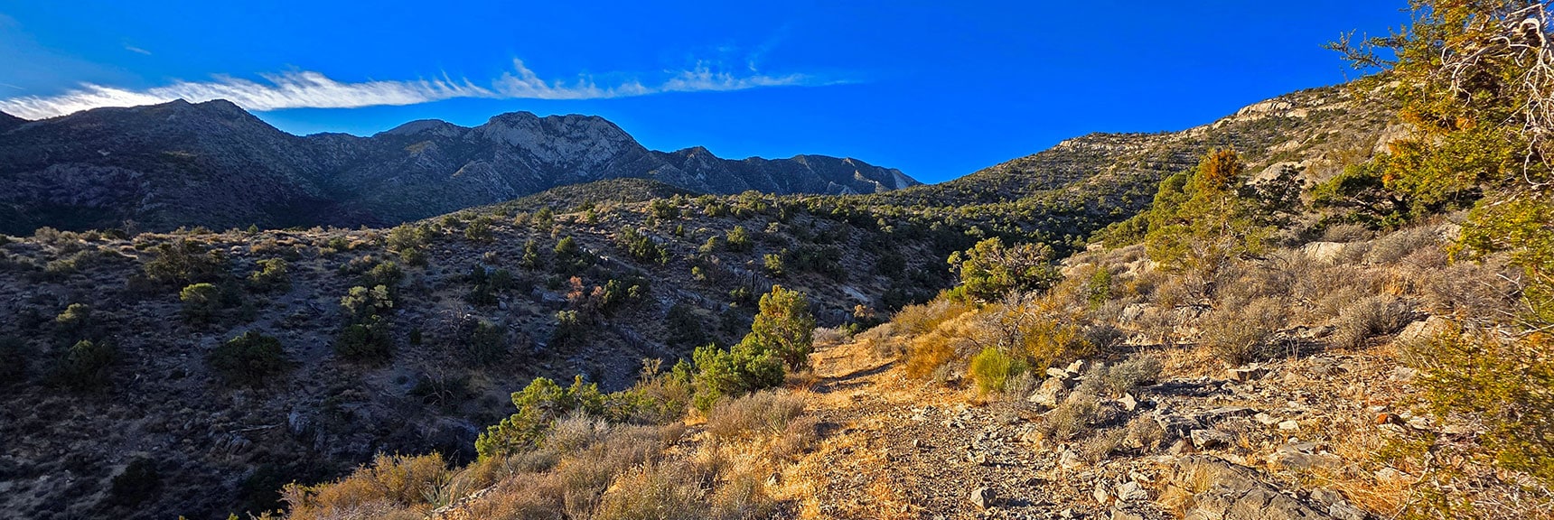 End of Approach Road. Angle Up Toward North Ridge Ascent Point, | North Ridge Loop | La Madre Mountains Wilderness, Nevada
