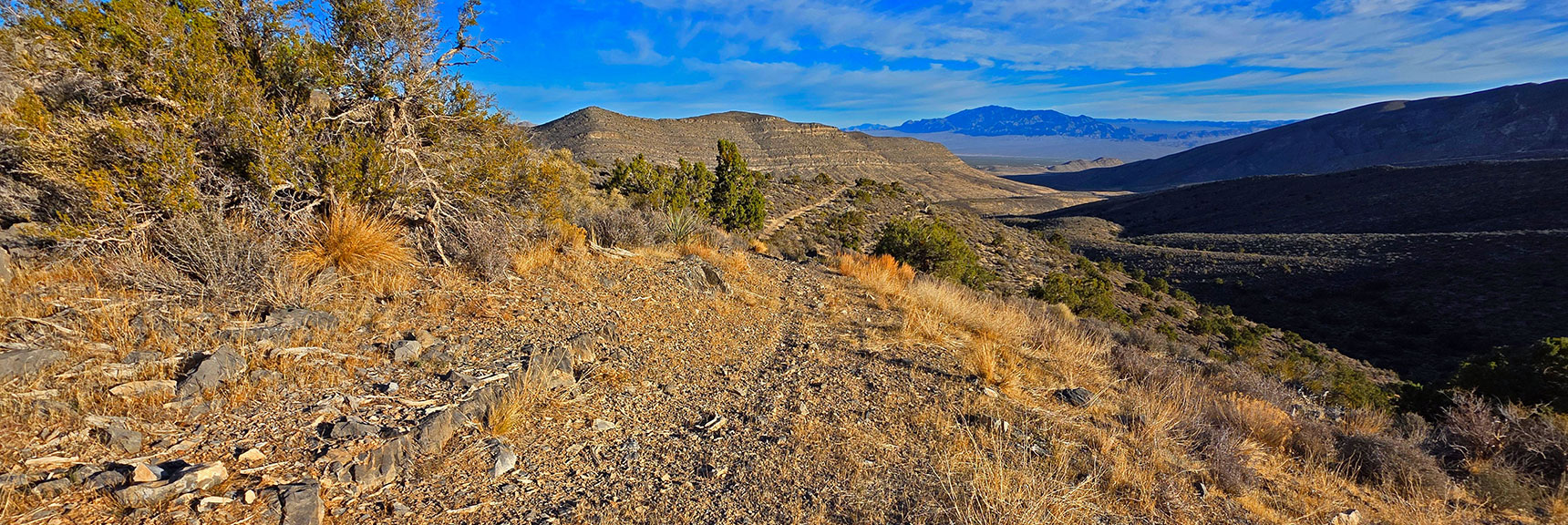 View Back Down Approach Road Toward Sheep Range. | North Ridge Loop | La Madre Mountains Wilderness, Nevada
