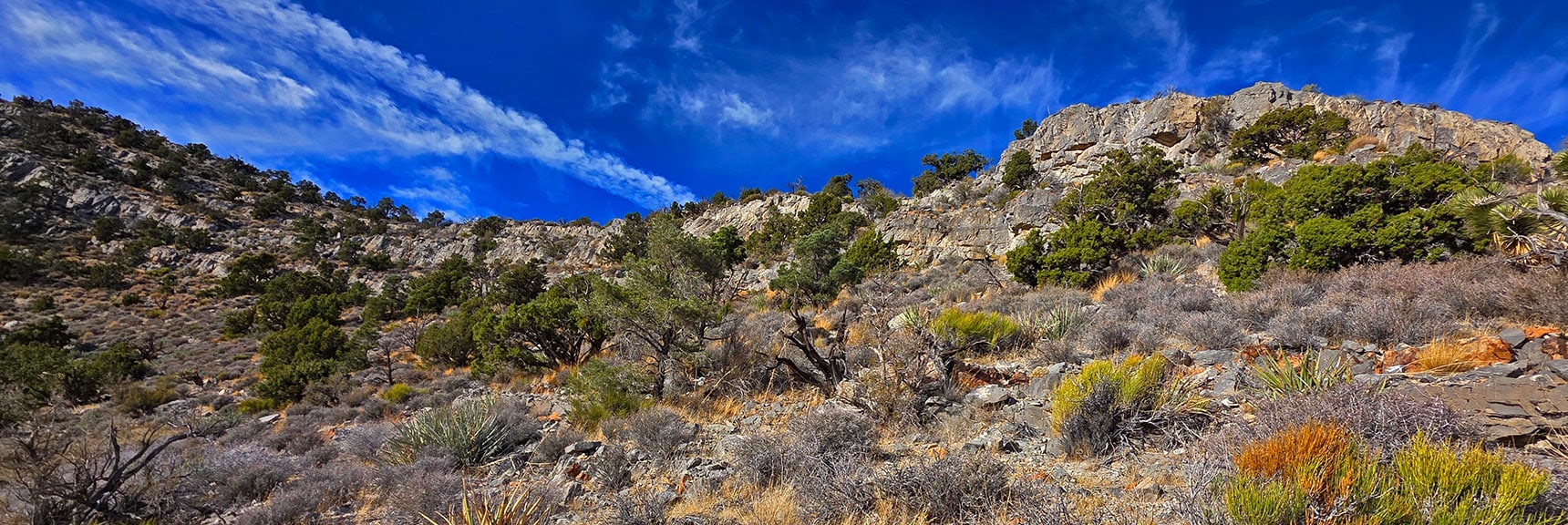 Ascend to Base of Limestone Walls, Turn Left to Find Opening | North Ridge Loop | La Madre Mountains Wilderness, Nevada