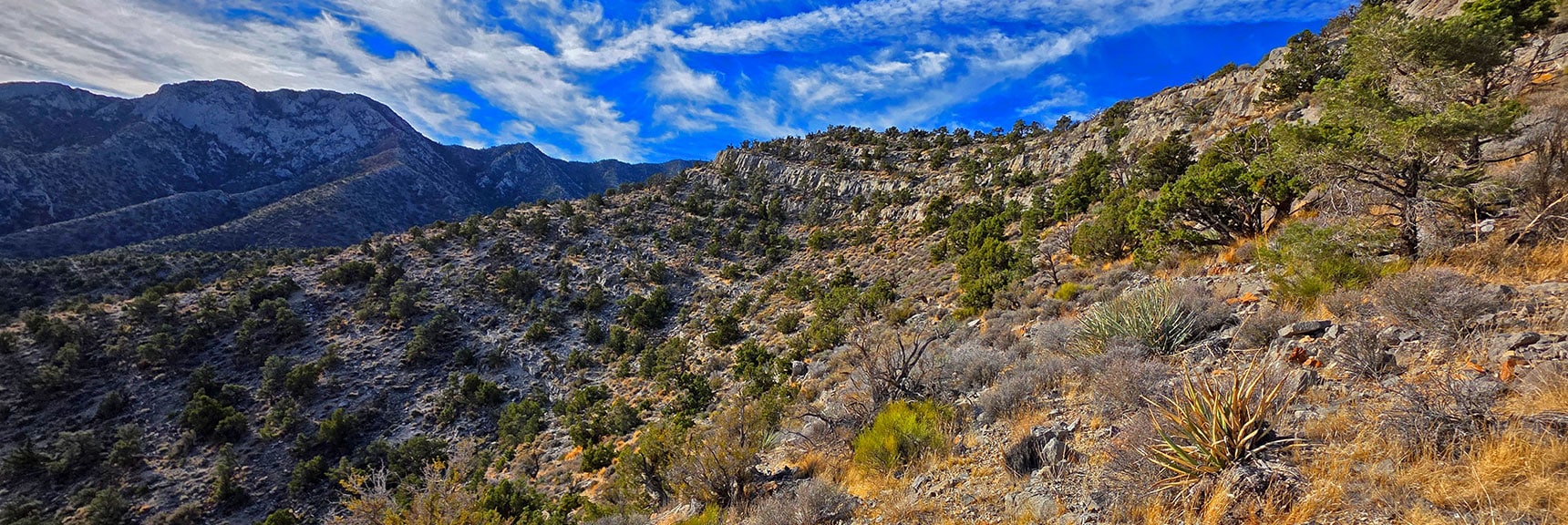 Opening Through Limestone Walls is Just Around the Left Edge | North Ridge Loop | La Madre Mountains Wilderness, Nevada