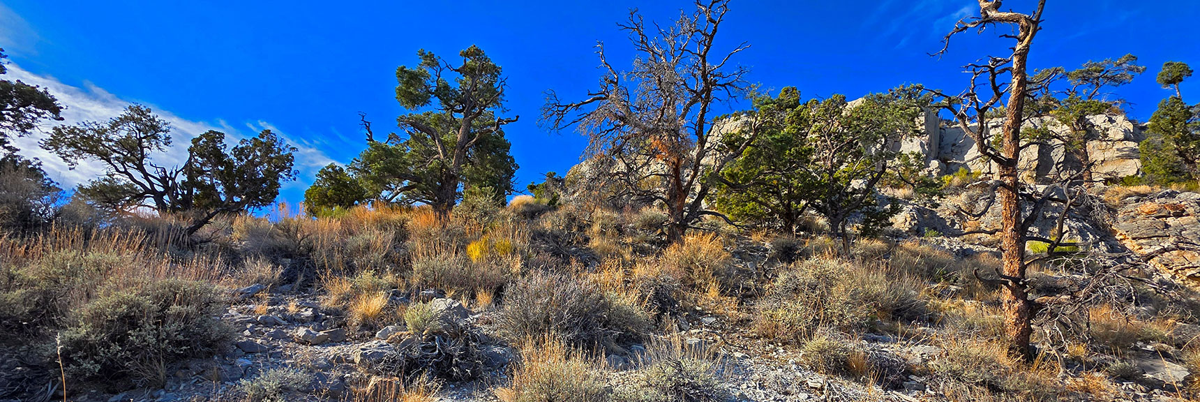Closing in on Edge of Limestone Wall and Opening Ahead. | North Ridge Loop | La Madre Mountains Wilderness, Nevada