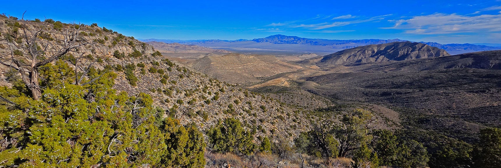 Now on North Ridgeline. View Back Down Approach Valley. | North Ridge Loop | La Madre Mountains Wilderness, Nevada