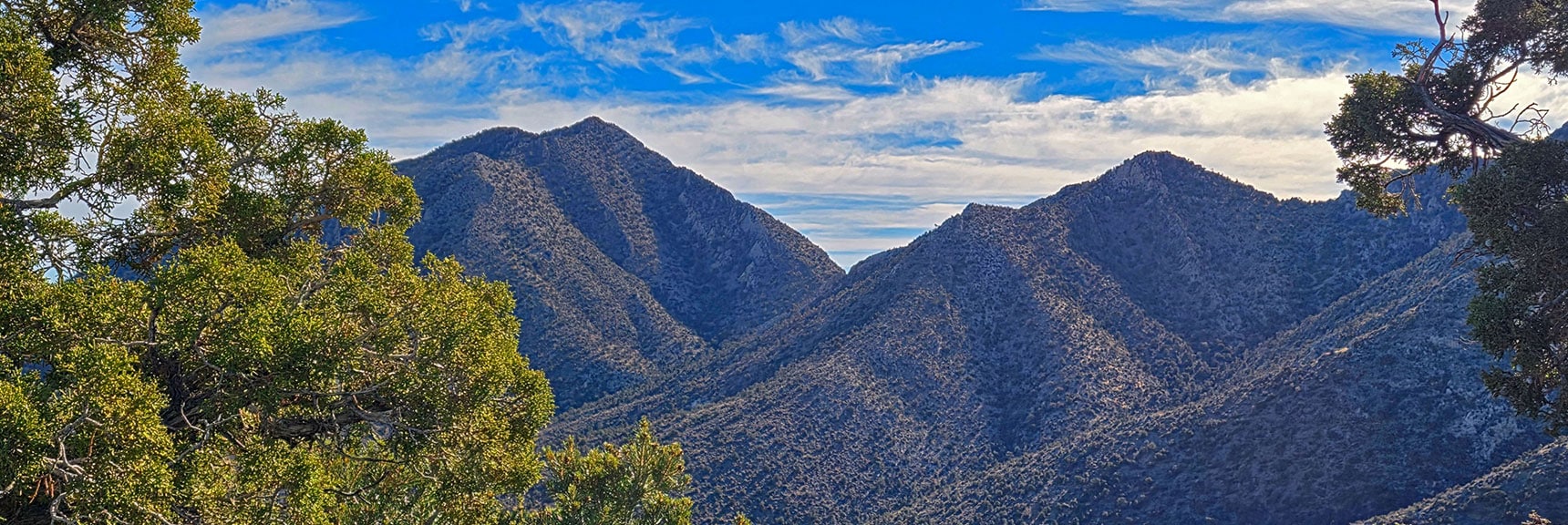 Through Ridgeline Trees: East La Madre Peak, Saddle, Peak 6826 | North Ridge Loop | La Madre Mountains Wilderness, Nevada
