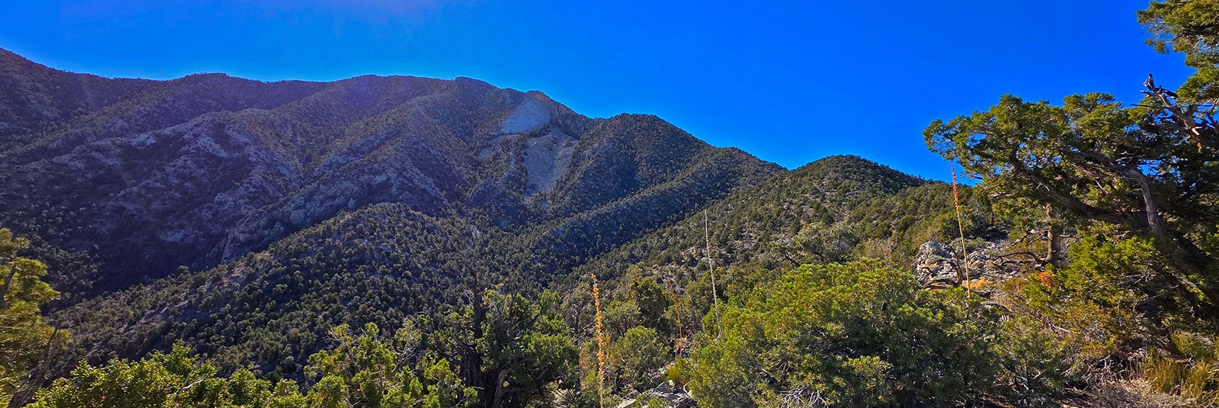La Madre Mt. & Devil's Slide Ahead to Left of Ridgeline. | North Ridge Loop | La Madre Mountains Wilderness, Nevada