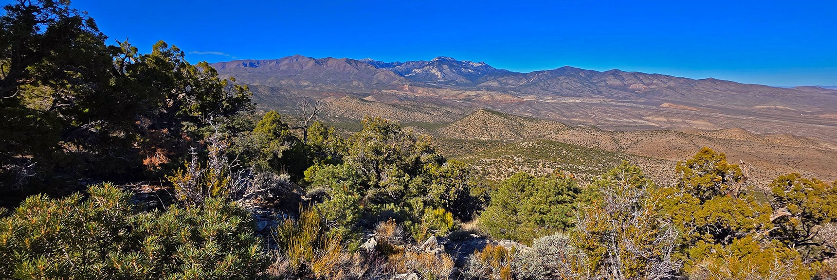 Mt Charleston Wilderness Now in Full View to the West. | North Ridge Loop | La Madre Mountains Wilderness, Nevada