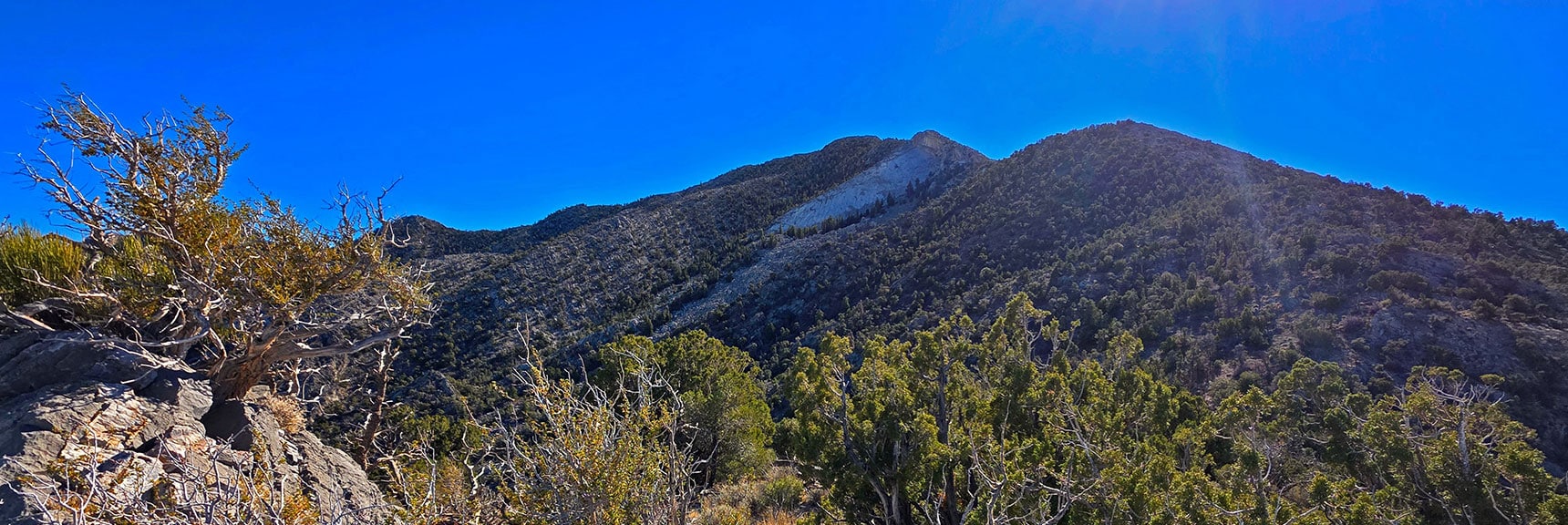 High Point on Ridgeline Looking South to La Madre Summit (8,154ft). | North Ridge Loop | La Madre Mountains Wilderness, Nevada