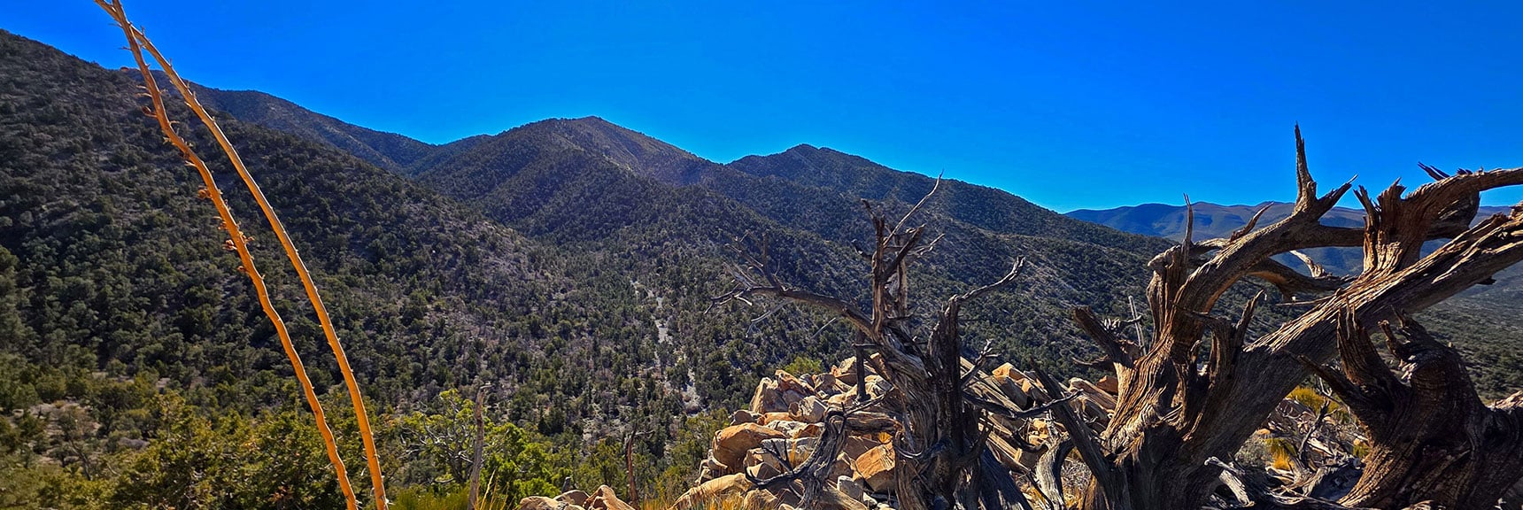 Burnt Peak and El Bastardo to the West. Wilson Ridge Far Beyond. | North Ridge Loop | La Madre Mountains Wilderness, Nevada