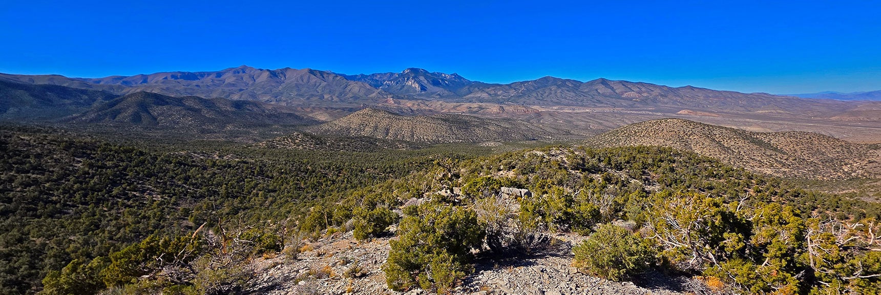 Descend the Ridgeline Toward Campground and Left Side of Brown Hill Below. | North Ridge Loop | La Madre Mountains Wilderness, Nevada