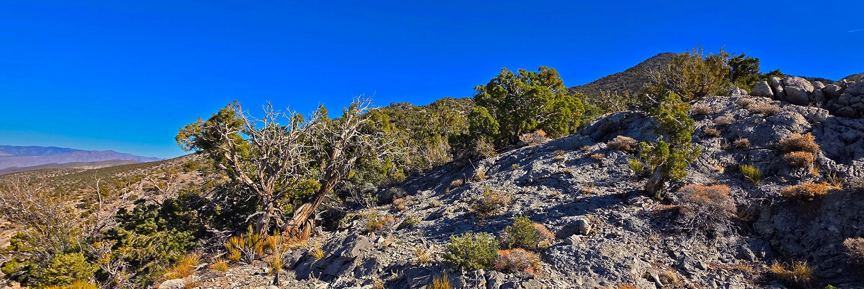 View Back Up North Ridgeline. Relatively Easy, But with Low Limestone Ledges. | North Ridge Loop | La Madre Mountains Wilderness, Nevada