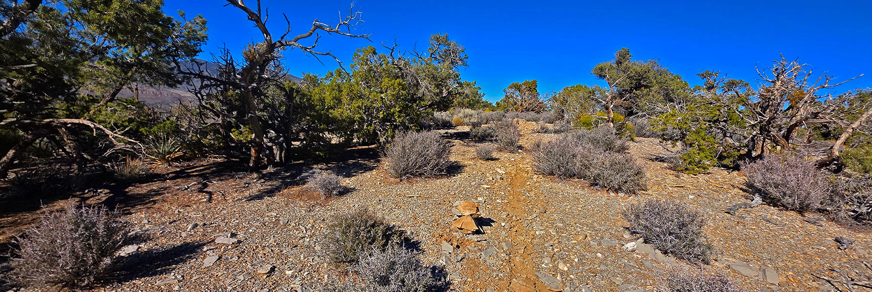 Cairned Dirt Bike Trail Provides Streamlined Route to Road Below. | North Ridge Loop | La Madre Mountains Wilderness, Nevada