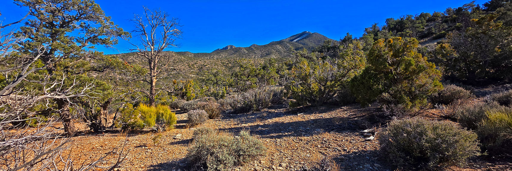 View Back Up Ridgeline to La Madre Mt. & Devil's Slide Above. | North Ridge Loop | La Madre Mountains Wilderness, Nevada