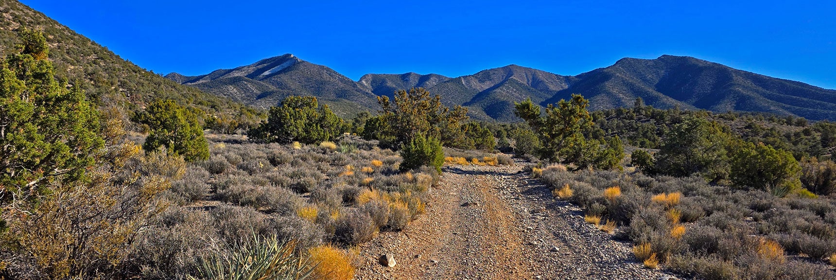 View Back Up North Access Road Toward La Madre Highest Peaks. | North Ridge Loop | La Madre Mountains Wilderness, Nevada