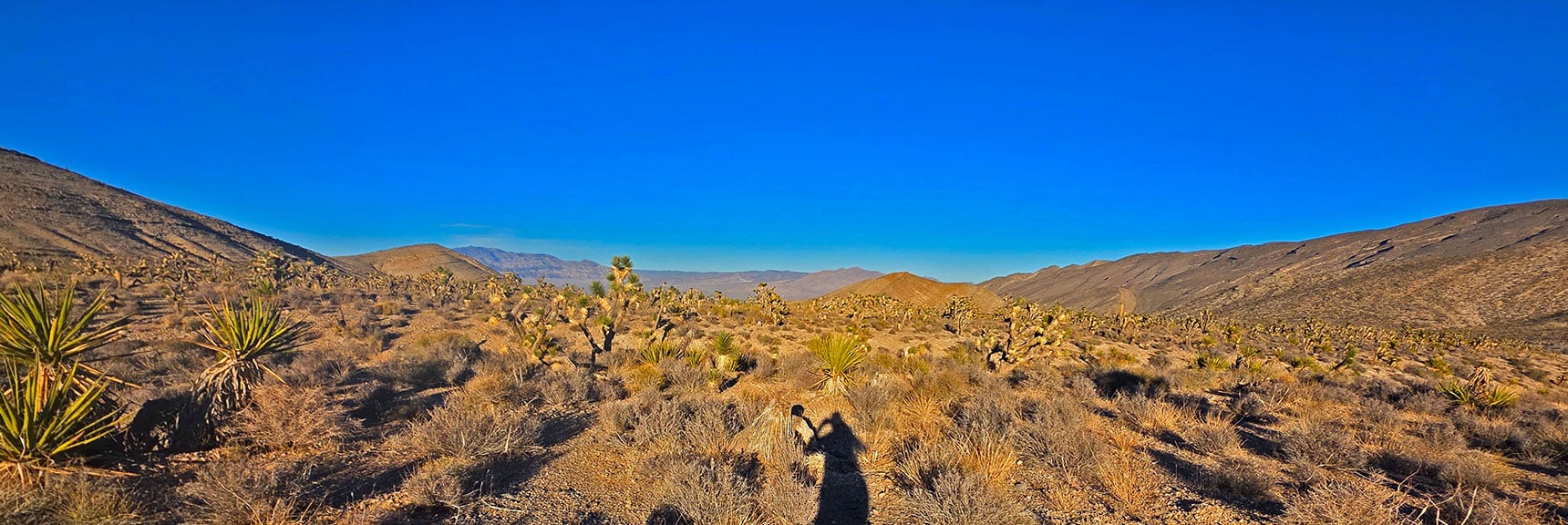 At Lower End of Harris Springs Rd. Angle Across Desert Back to Start Point. | North Ridge Loop | La Madre Mountains Wilderness, Nevada