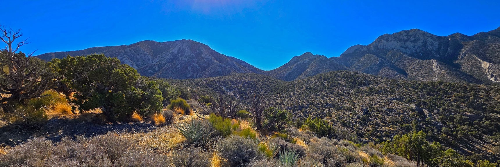 Grand Crossing Between Harris Springs Canyon and Little Red Rock | La Madre Ridgeline East Saddle | La Madre Mountains Wilderness, Nevada