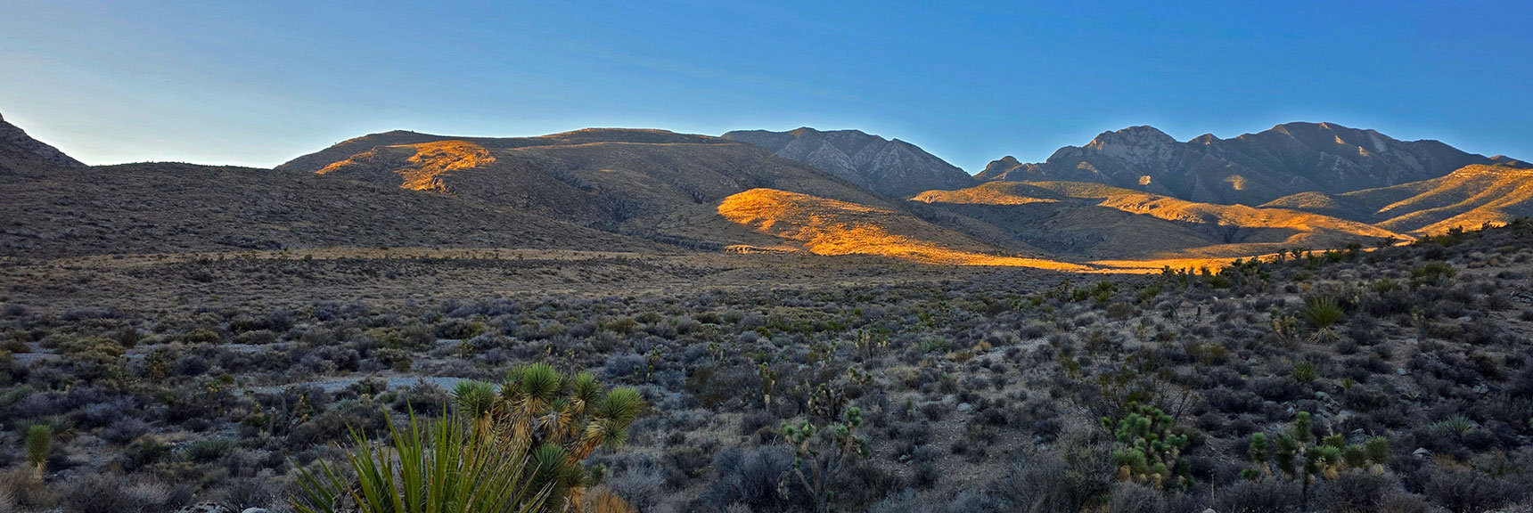 Turn Left in the Wash, Then Right Up the Next Valley Toward the Ridgeline. | La Madre Ridgeline East Saddle | La Madre Mountains Wilderness, Nevada