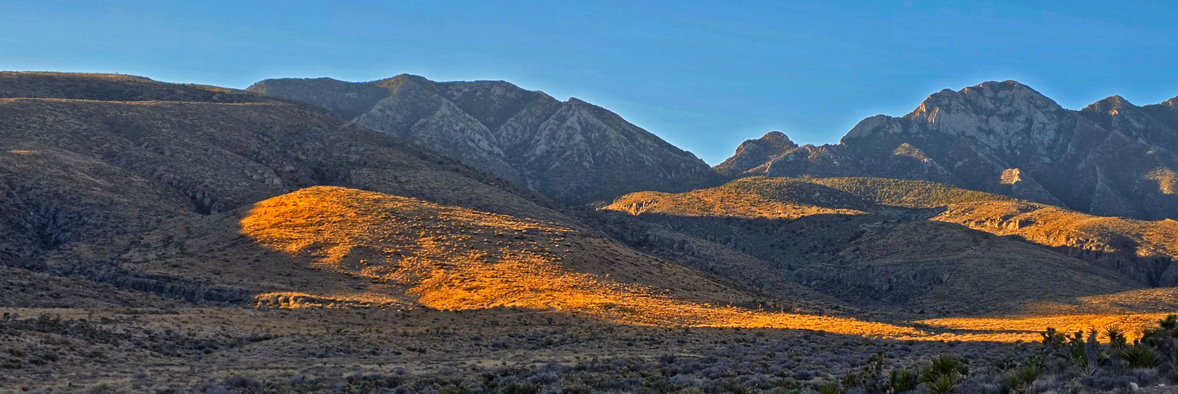 Approach Ridge To the Saddle is on the Right in the Sunlight. | La Madre Ridgeline East Saddle | La Madre Mountains Wilderness, Nevada
