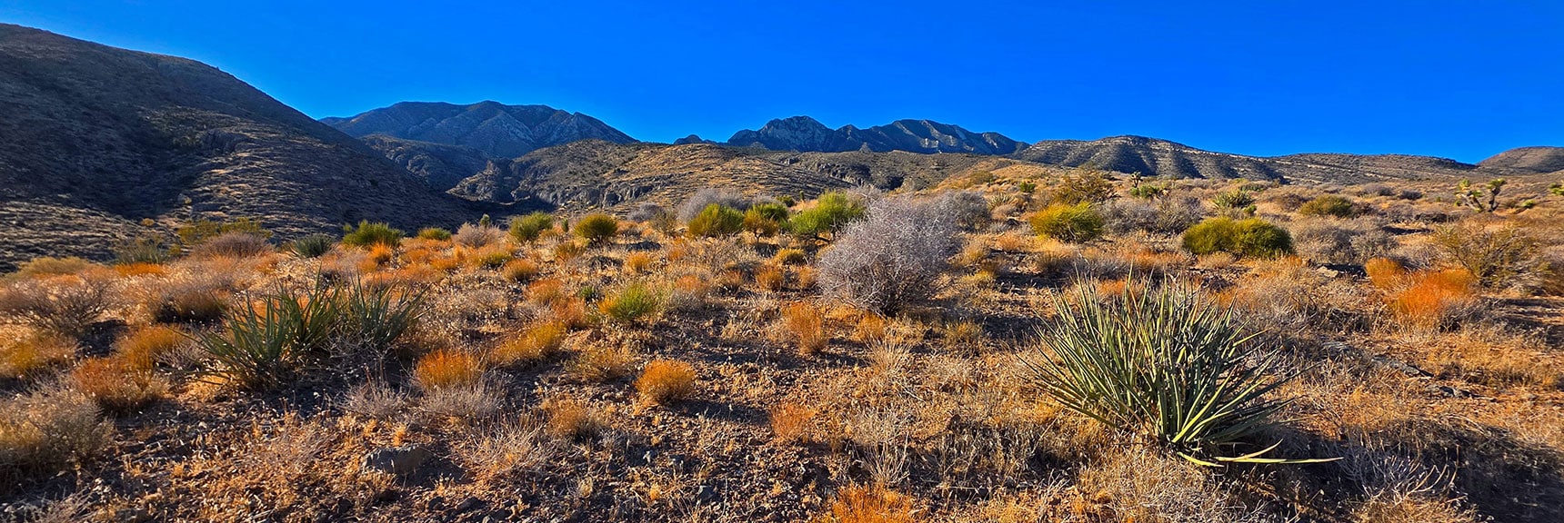The Approach Ridge is a Class 2 Walk Up a Gradual Incline. | La Madre Ridgeline East Saddle | La Madre Mountains Wilderness, Nevada