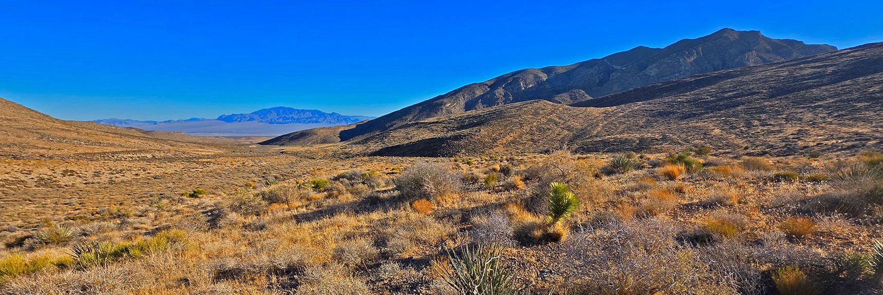 Look Back to See Beautiful Views of the Approach Valley & Sheep Range | La Madre Ridgeline East Saddle | La Madre Mountains Wilderness, Nevada