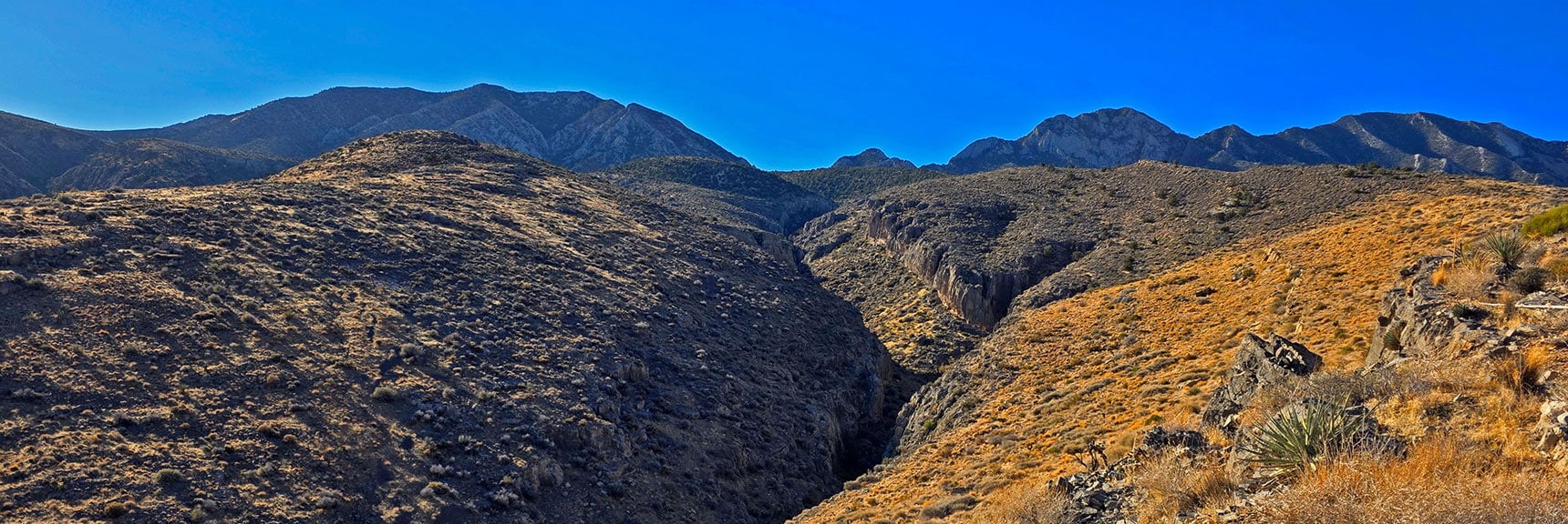 The Approach Ridge Ascends Along the Left Side of the Deep Saddle Wash | La Madre Ridgeline East Saddle | La Madre Mountains Wilderness, Nevada