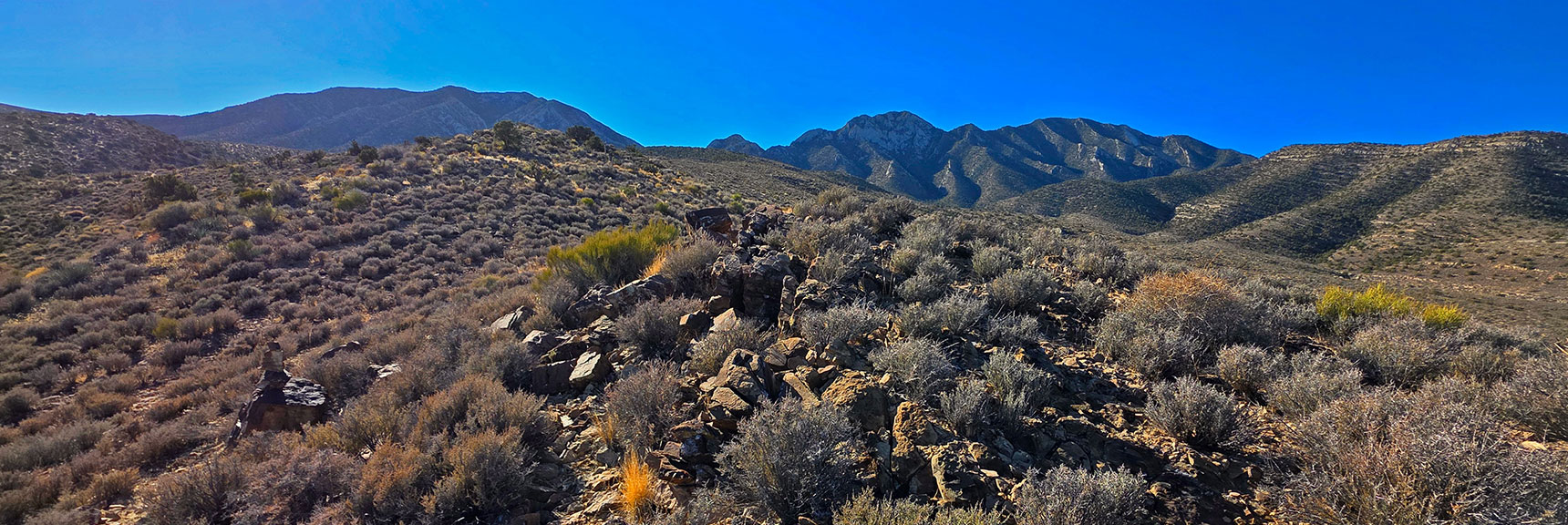 Desert Sage and Joshua Trees Will Give Way to Junipers and Pinyon Pines. | La Madre Ridgeline East Saddle | La Madre Mountains Wilderness, Nevada