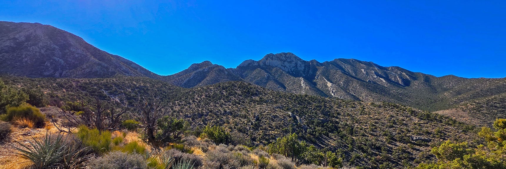 As You Ascend Higher, the Saddle Begins to Appear. | La Madre Ridgeline East Saddle | La Madre Mountains Wilderness, Nevada