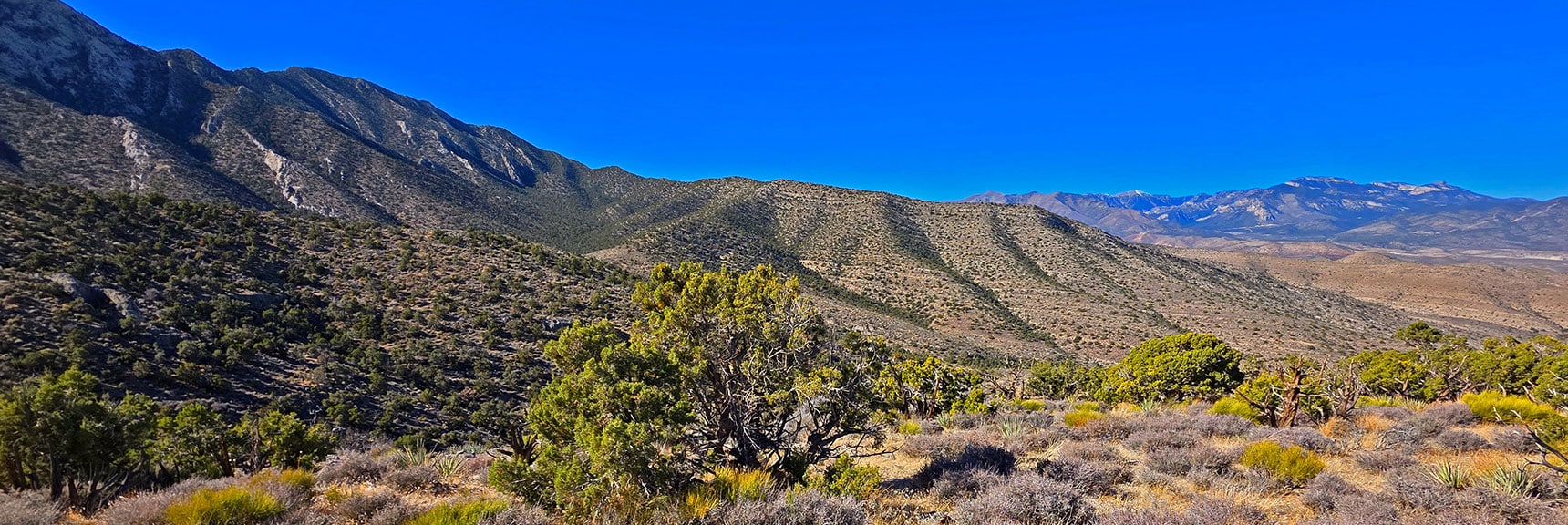 Right > Left: Mt. Charleston Wilderness, La Madre Mt. N Ridgeline, La Madre Mt. | La Madre Ridgeline East Saddle | La Madre Mountains Wilderness, Nevada