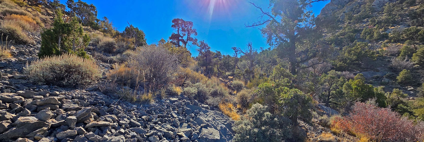 Light Class 3 Scrambling Will Get You Along the Final Approach | La Madre Ridgeline East Saddle | La Madre Mountains Wilderness, Nevada