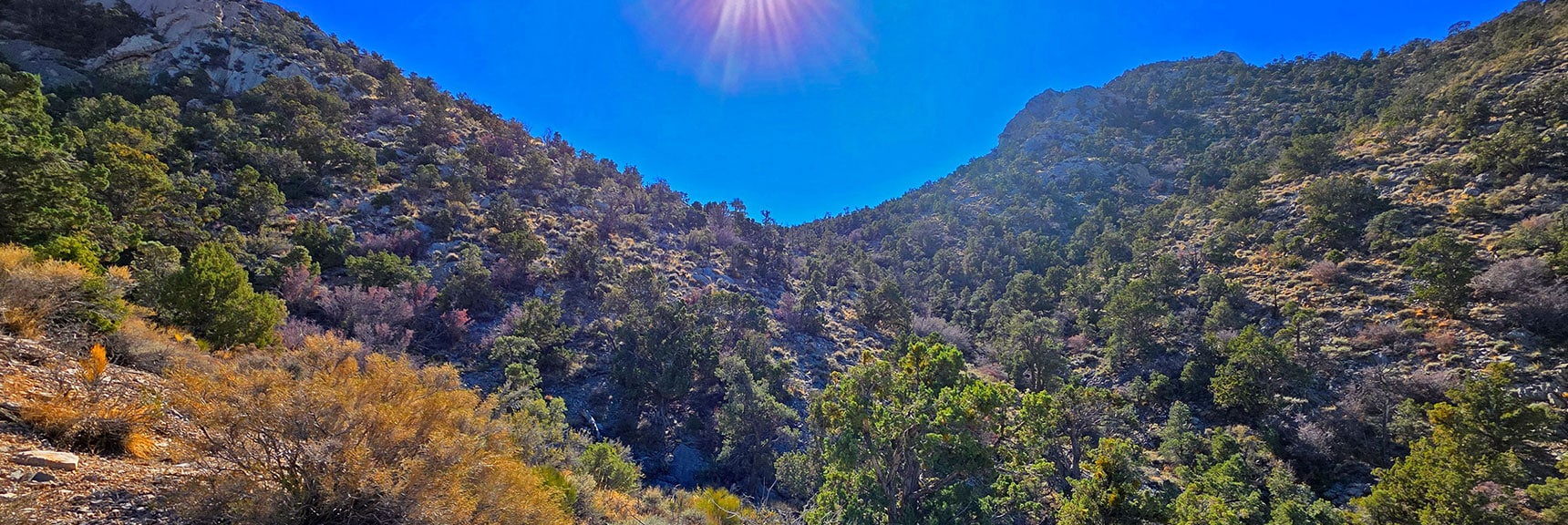 I Took the Approach Mid-Ridge; Returned Higher on the Ridge. Both Worked. | La Madre Ridgeline East Saddle | La Madre Mountains Wilderness, Nevada