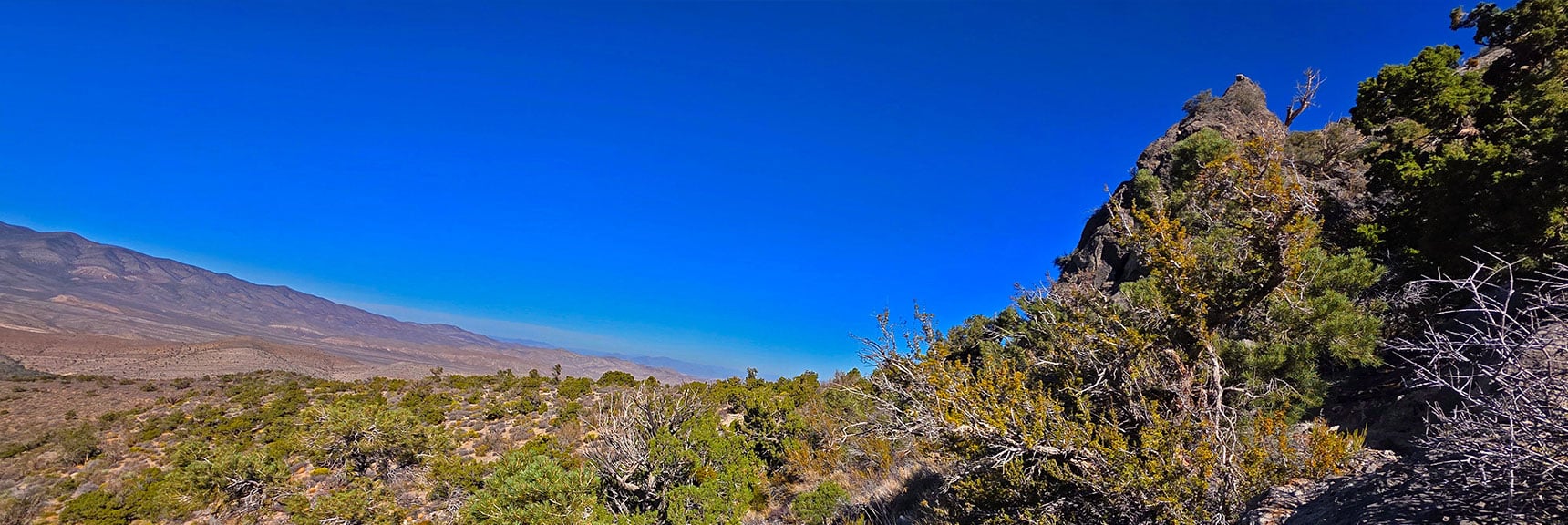 A View Back to the Gradual Approach Ridge During the Final Approach | La Madre Ridgeline East Saddle | La Madre Mountains Wilderness, Nevada