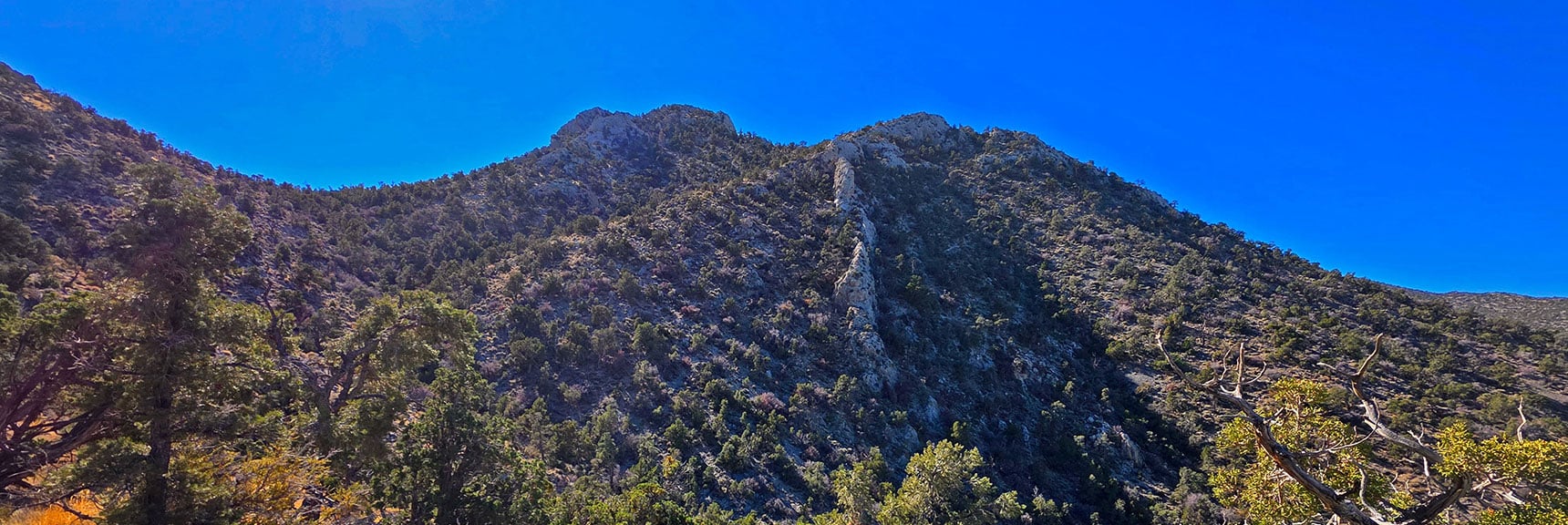 Closer to the Saddle the Route West on the La Madre Ridgeline Appears | La Madre Ridgeline East Saddle | La Madre Mountains Wilderness, Nevada