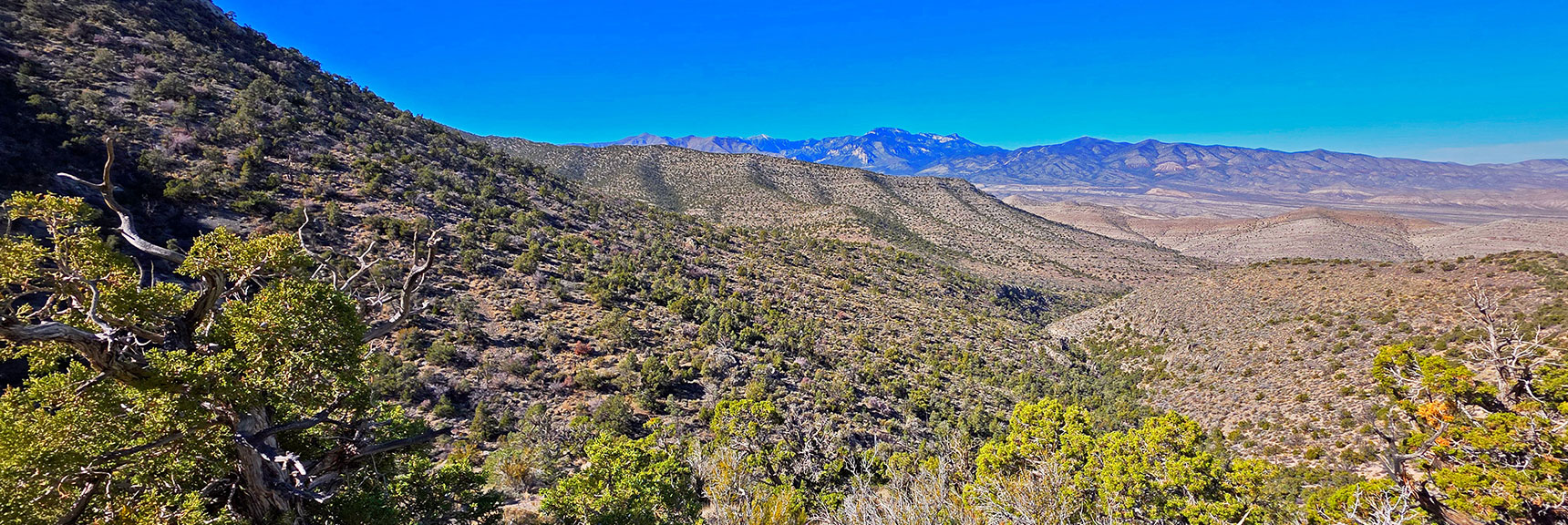 View Back Down the Saddle Gully; Charleston Wilderness Distant. | La Madre Ridgeline East Saddle | La Madre Mountains Wilderness, Nevada