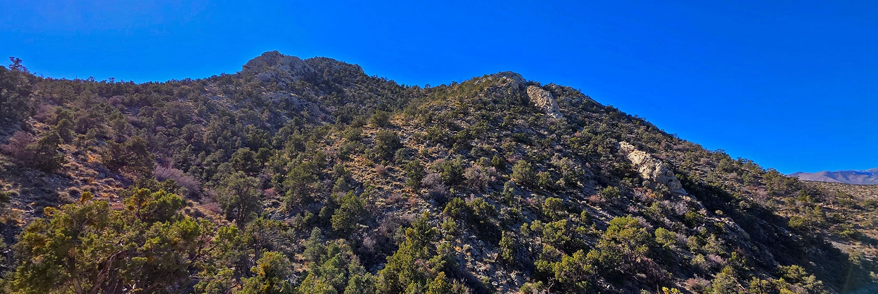 That First Ridgeline High Point West is Peak 6826 | La Madre Ridgeline East Saddle | La Madre Mountains Wilderness, Nevada